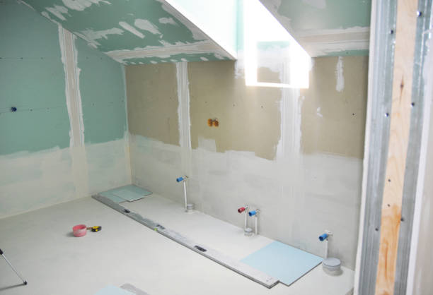 Reliable Greensboro, MD Mold Removal Solutions