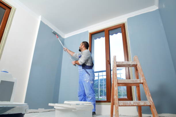 Best Water Damage & Mold Remediation  in Greensboro, MD