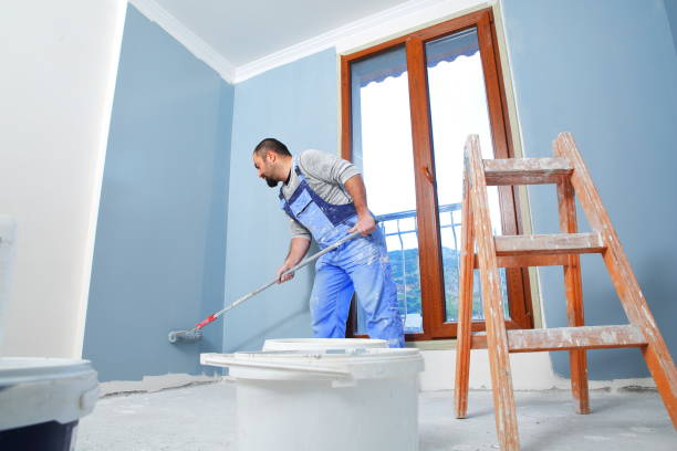 Best Black Mold Removal  in Greensboro, MD