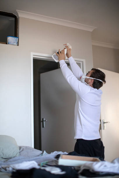 Best Asbestos and Lead Testing During Mold Inspection  in Greensboro, MD