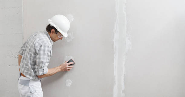 Best Mold Removal for HVAC Installations  in Greensboro, MD