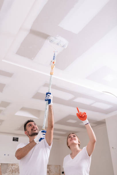 Best Residential Mold Inspection & Testing  in Greensboro, MD