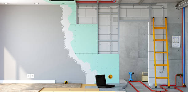 Best Real Estate Mold Inspection  in Greensboro, MD