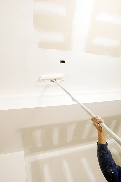 Best Dehumidification Services  in Greensboro, MD