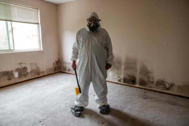 Best Crawl Space Mold Remediation  in Greensboro, MD